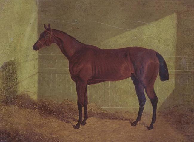 John Frederick Herring Margrave Winner of the st Leger oil painting picture